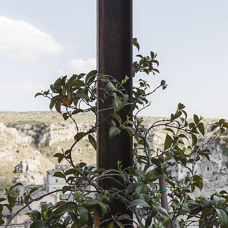 Angolo Del Poeta - Maison De Charme Matera Eksteriør bilde